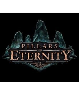 Pillars of Eternity Hero Edition Steam Key GLOBAL